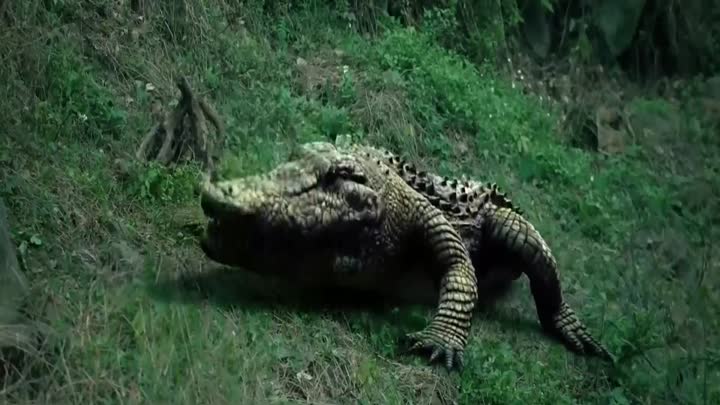 Screenshot Of Mega Crocodile (2019) Hindi Dubbed Movie